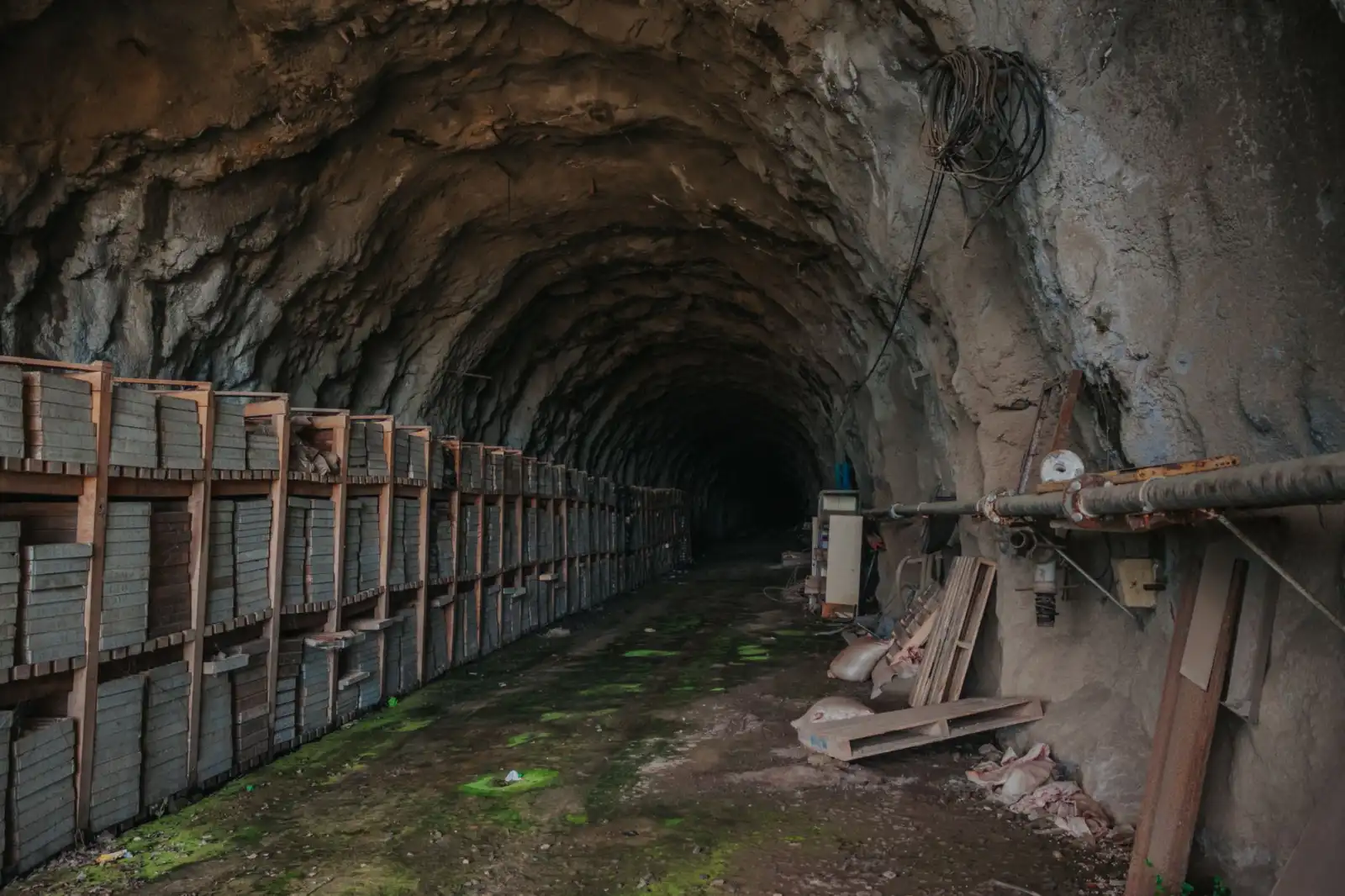 钢结构厂房建设选用C型钢与H型钢的承重差异解析