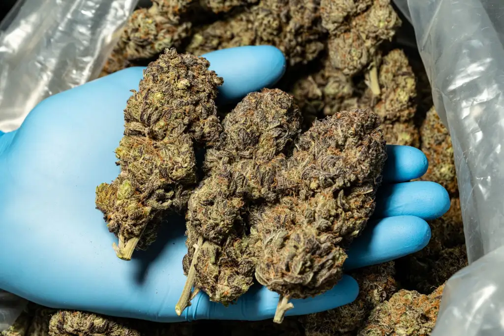 华北地区钢结构厂房冬季施工要点及彩钢瓦防冻措施分析